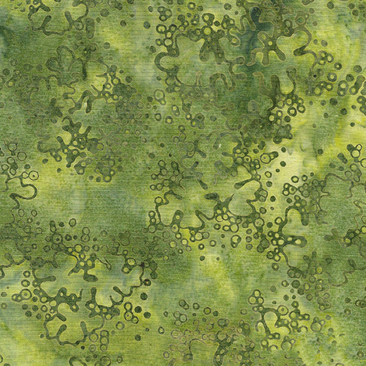 FOREST FLORA Lichen green sprout