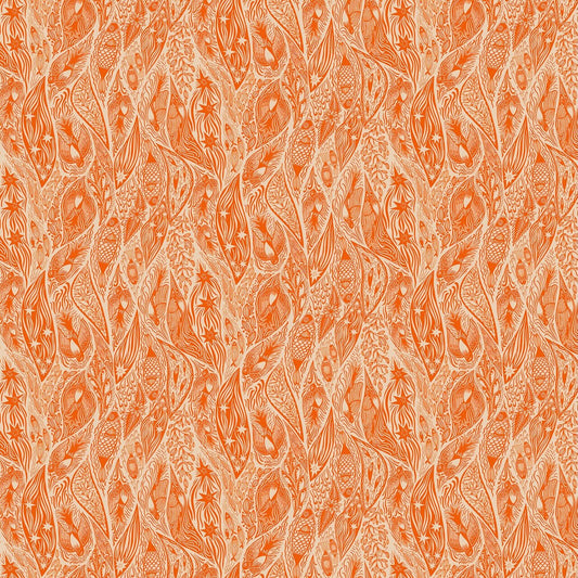 SHOOTING STAR Current tangerine
