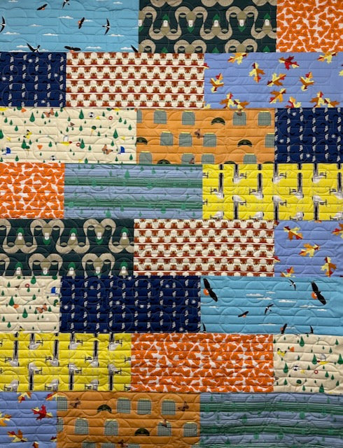 BISCOTTI Charley Harper Santa Rosa 48"x 64"