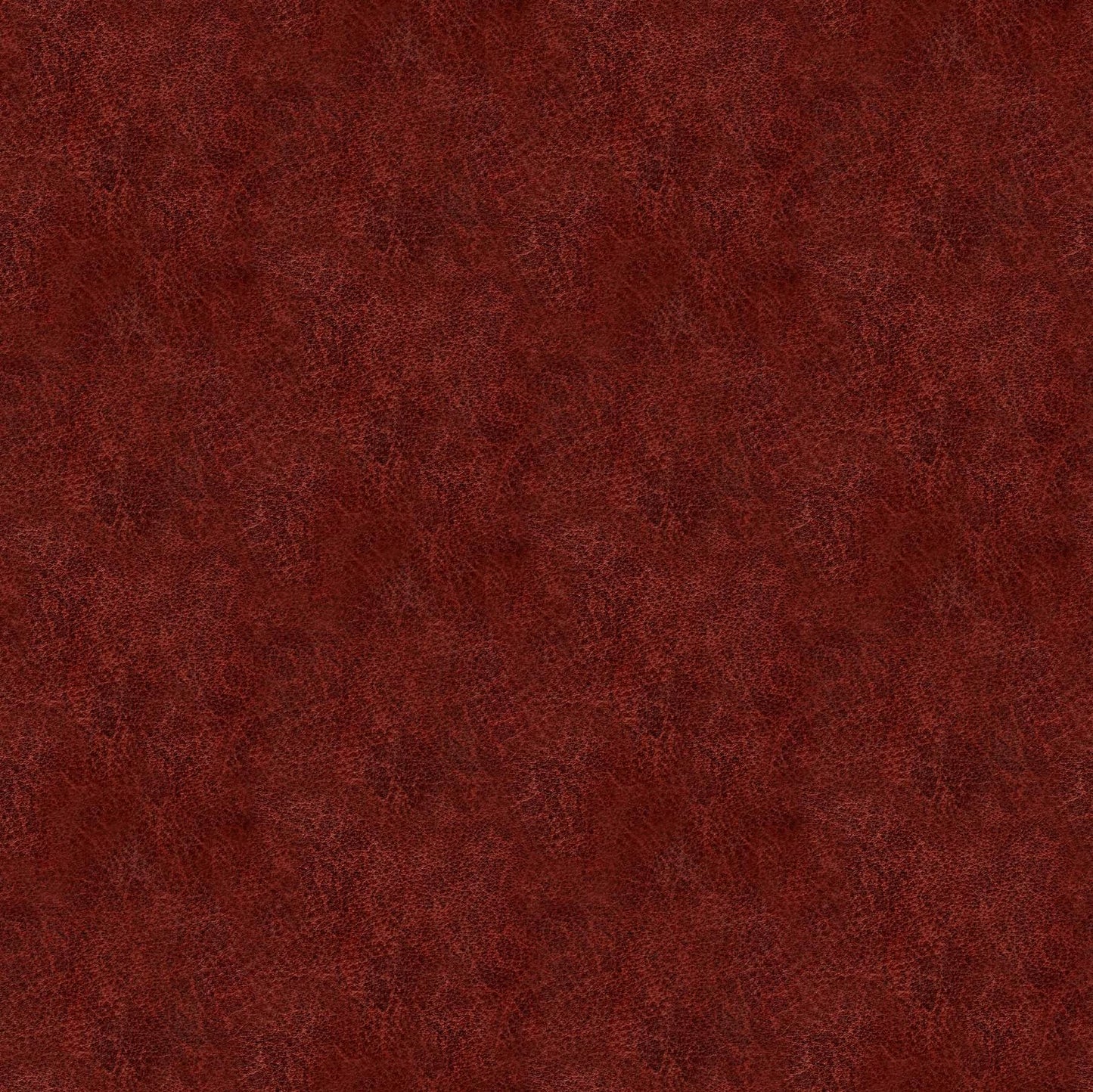 CAT TALES Leather burgundy