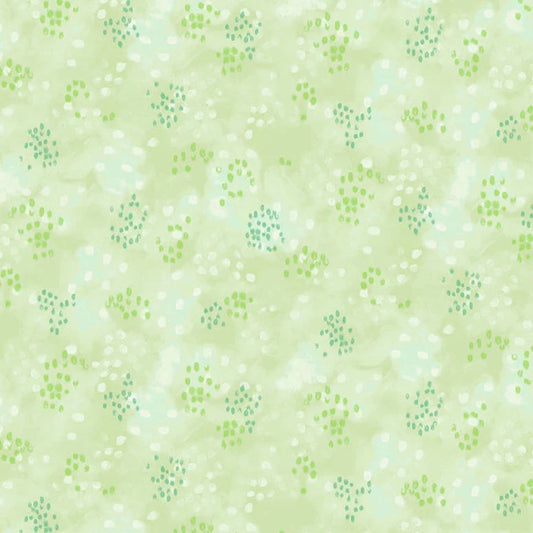 AWAKENING Dotty Spotty Allover G