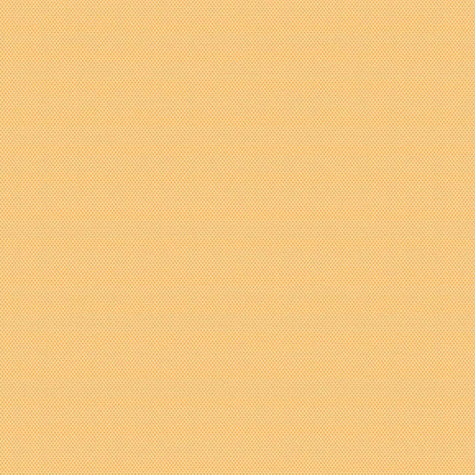 POPARAZZI Honey