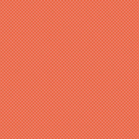 TULA PINK TRUE COLORS On the Grid salmon