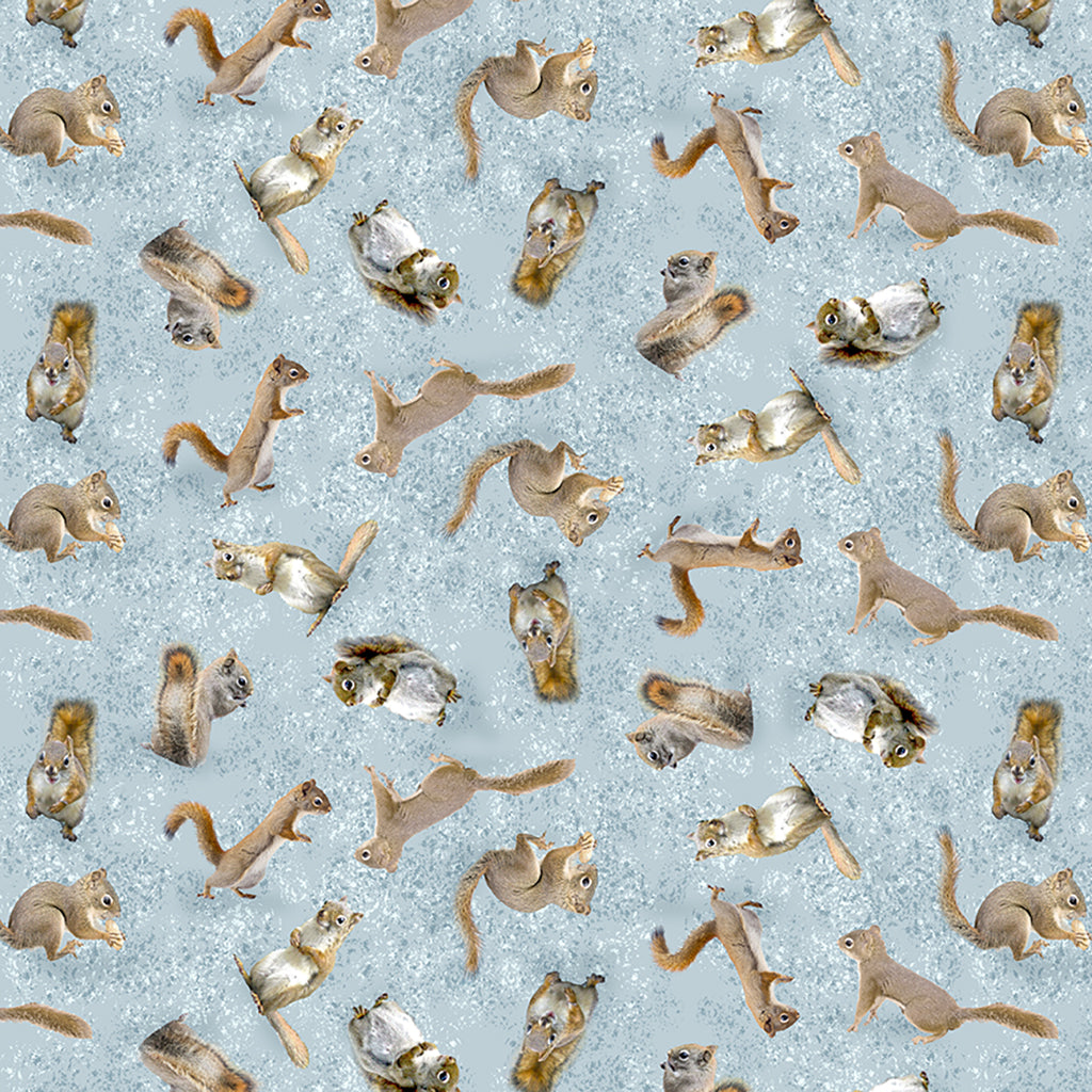 THE SECRET LIFE OF SQUIRRELS Squirrels light blue