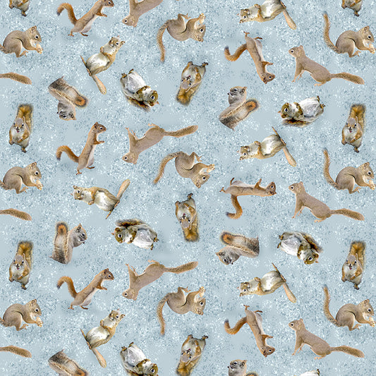 THE SECRET LIFE OF SQUIRRELS Squirrels light blue