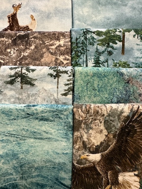 STONEHENGE EAGLE PASS 8 half yards