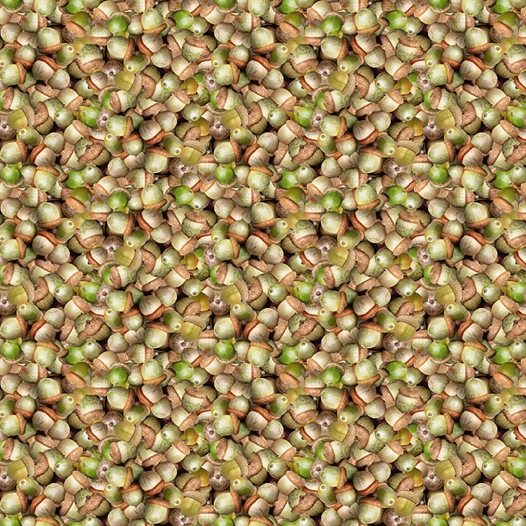 THE SECRET LIFE OF SQUIRRELS Acorns light olive