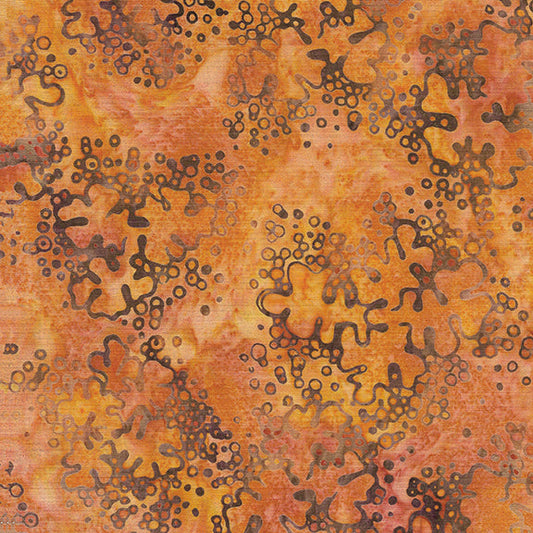 FOREST FLORA Lichen multi pink orange sunset