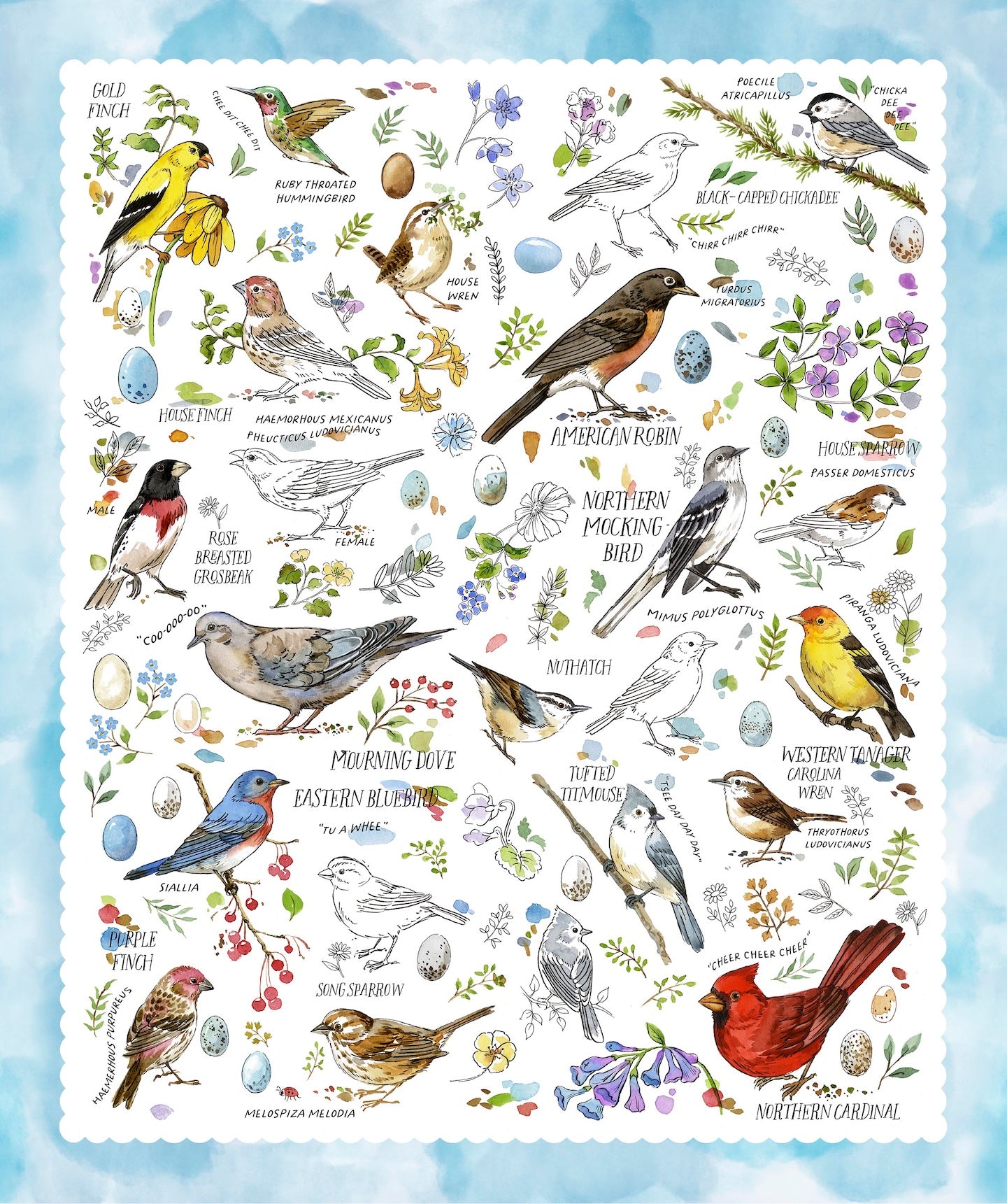 DRAWN TO BIRDS Bird Panel sky blue 36"x43"