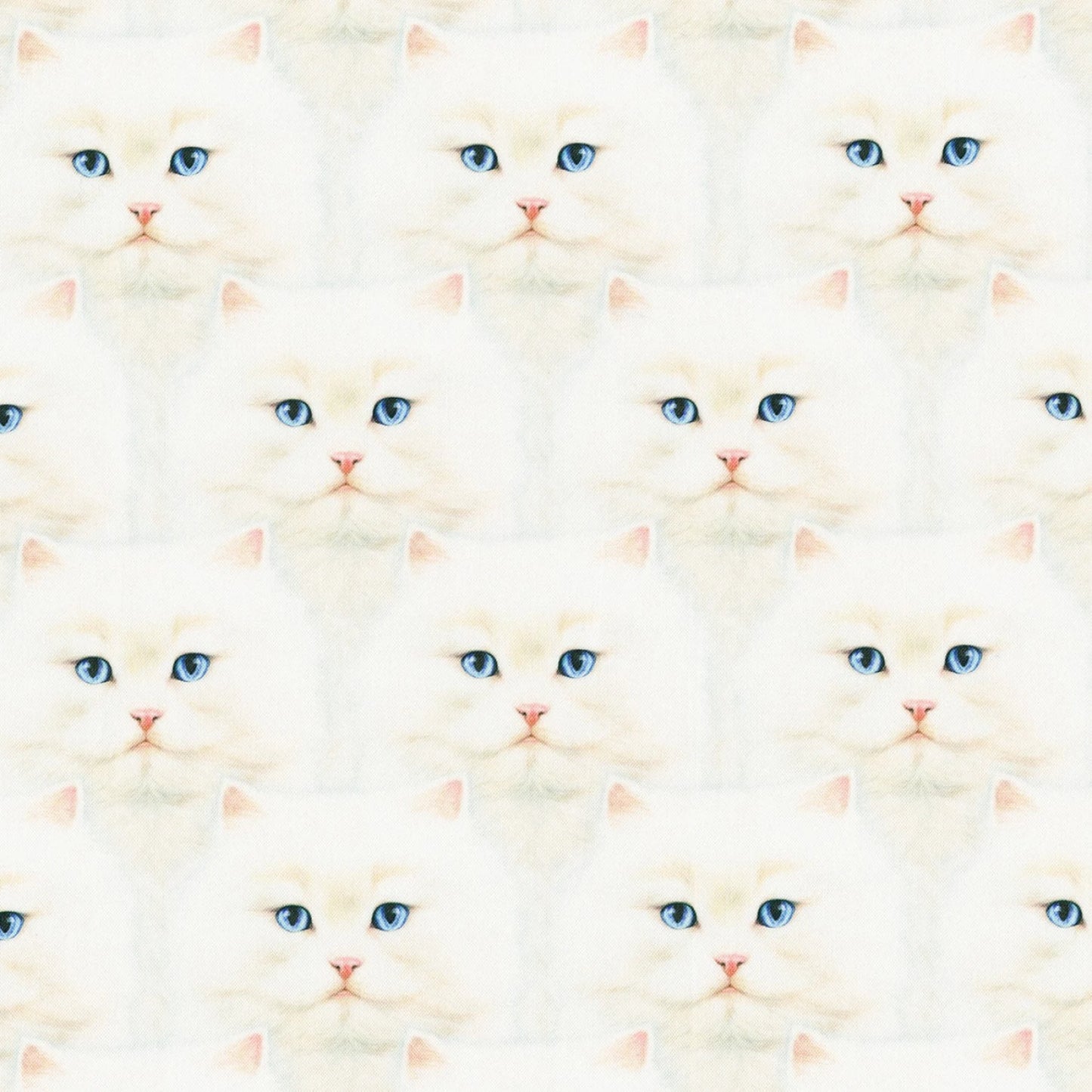 WHISKERS & TAILS White