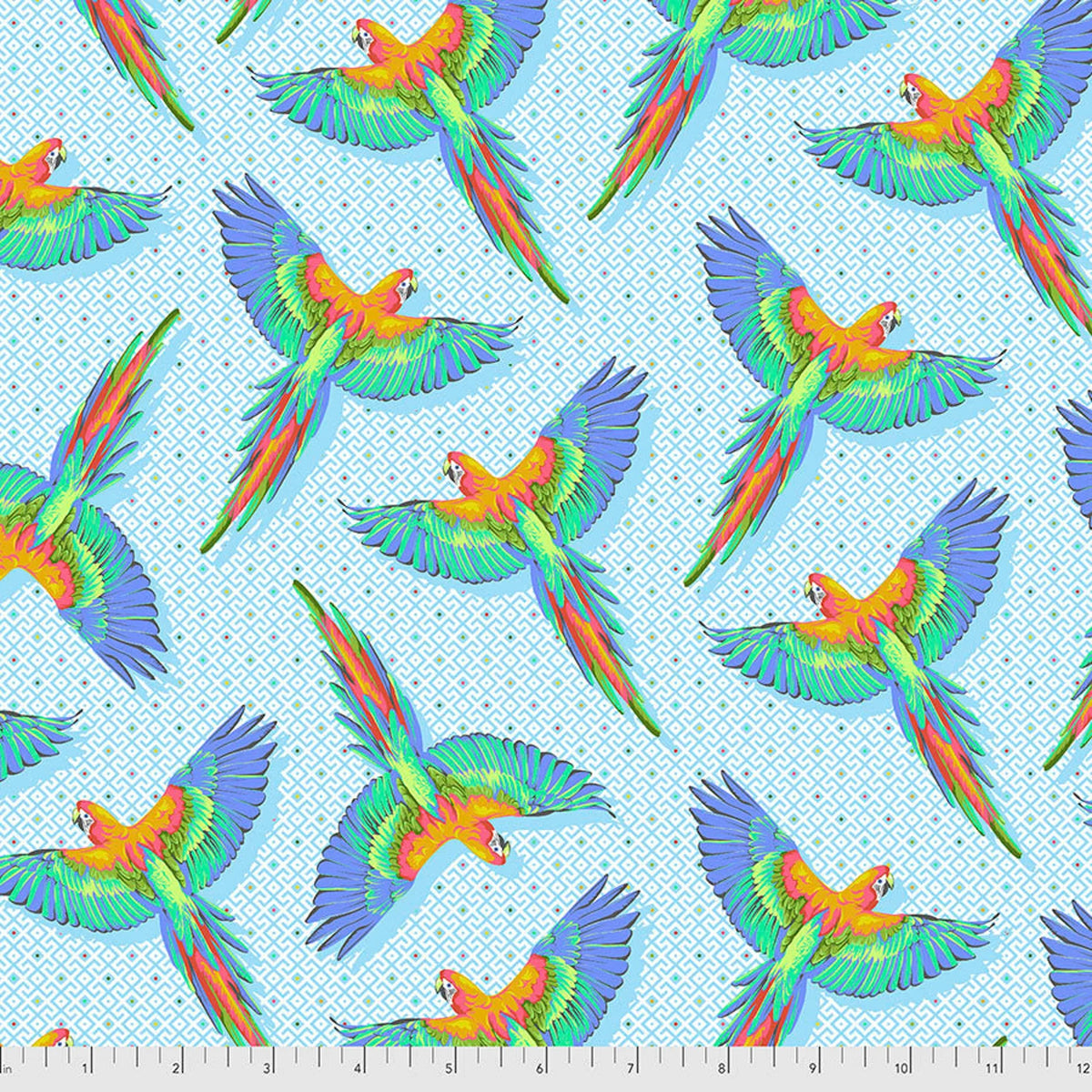 DAYDREAMER Macaw Ya Later cloud