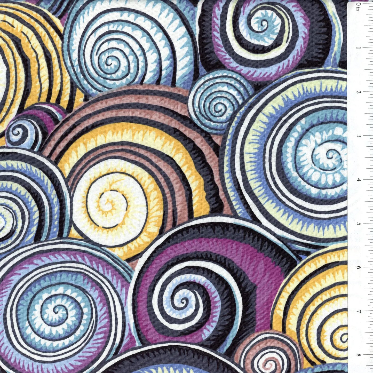 SPIRAL SHELLS contrast