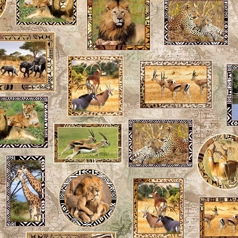 SERENGETI PLAINS