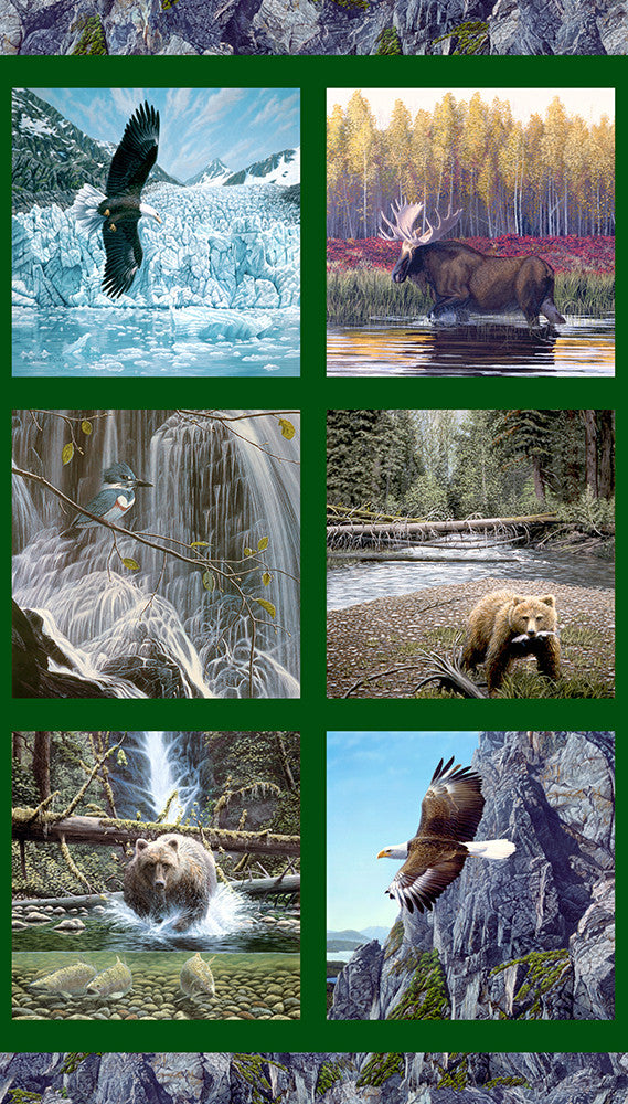 NATURE'S ODYSSEY Robert Kaufman