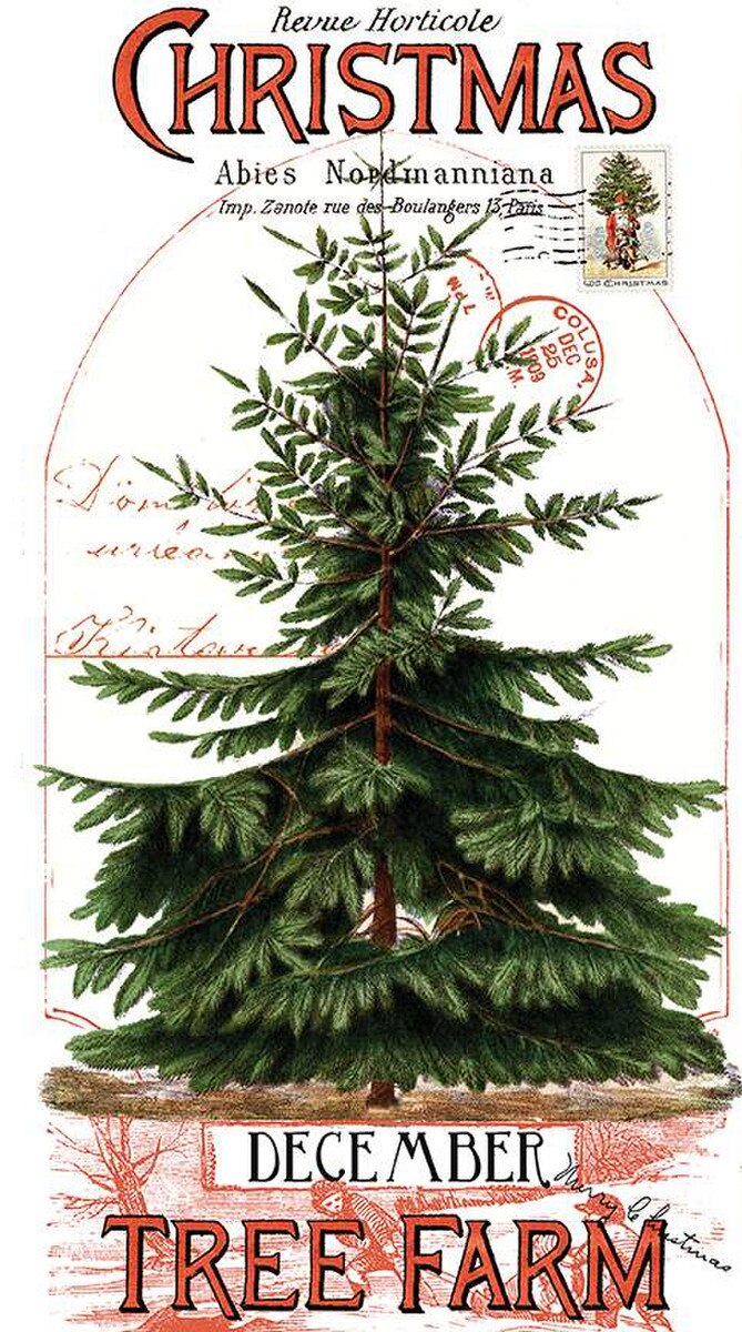 CLASSIC CHRISTMAS J Wecker Frisch