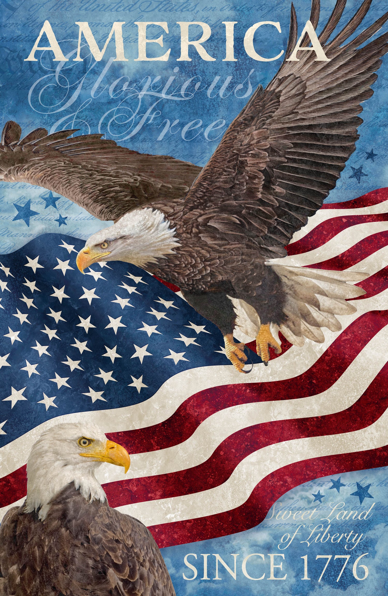STARS AND STRIPES 13 Linda Ludovico