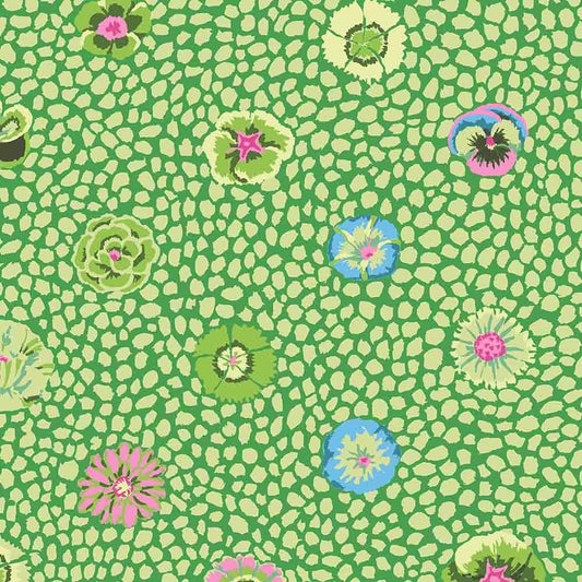 GUINEA FLOWER moss