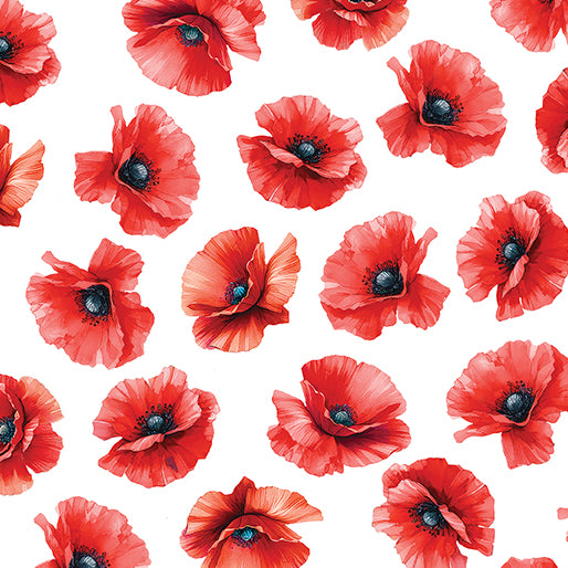 RED WHITE & SWEET Pretty Poppies white