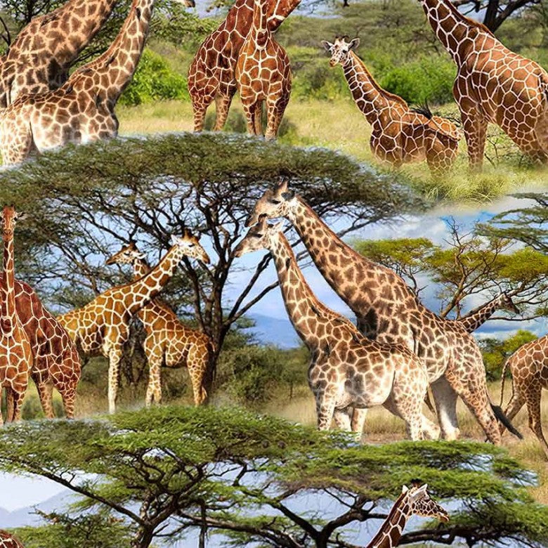 SERENGETI PLAINS Savanna Tower
