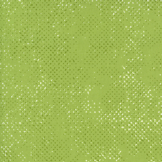 SPOTTED Quotation Pistachio