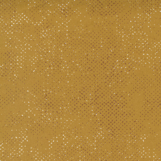 CELESTIAL Spotted maize