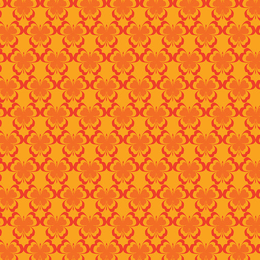 KALEIDOSCOPE Flutter orange