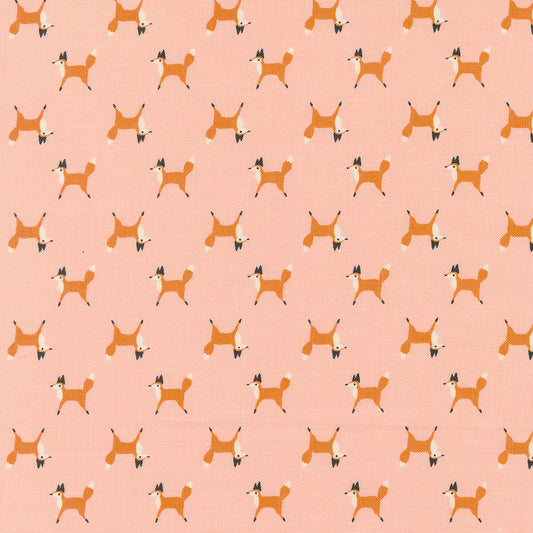 WOODLAND WONDER Fox Trot blush