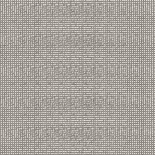 MODERN ELEMENTS Dots charcoal