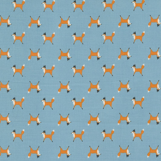 WOODLAND WONDER Fox Trot sky