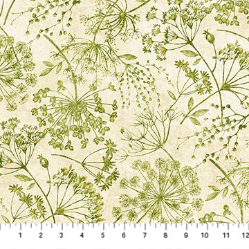 STONEHENGE ORGANICS Queen Anns Lace cream green