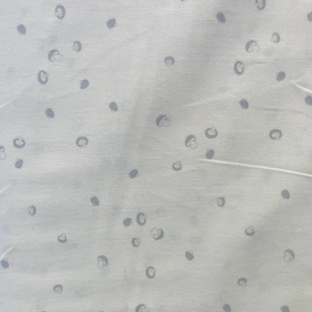 SPACED OUT Mushrooms grey