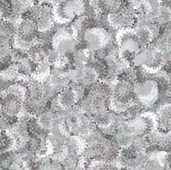 SERENDIPITY -Gray