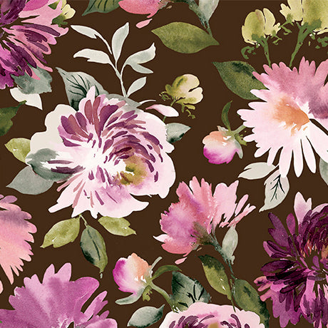 DAHLIA DREAMS Dahlias chocolate