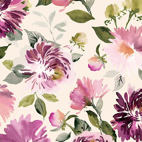 DAHLIA DREAMS Dahlias cream