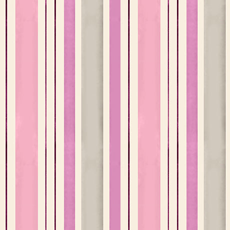 DAHLIA DREAMS Stripe rose