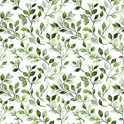 MOUNTAIN SPLENDOR Leaf Vine evergreen