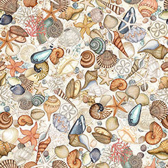 NAUTICUS Shells cream
