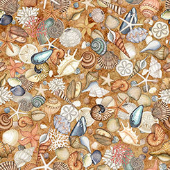 NAUTICUS Shells honey