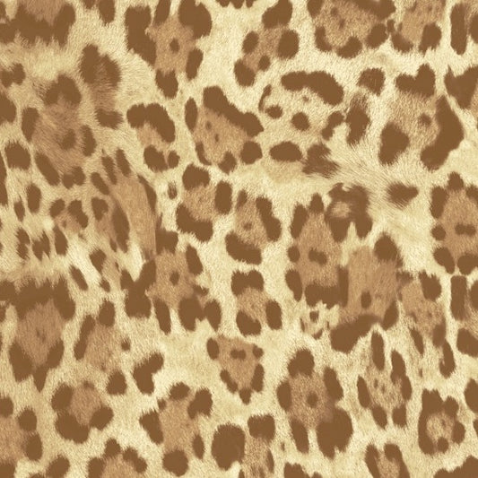 SAVANNA SUNRISE Leopard savanna