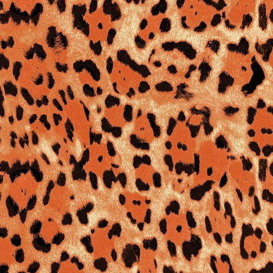 SAVANNA SUNRISE Leopard sunrise