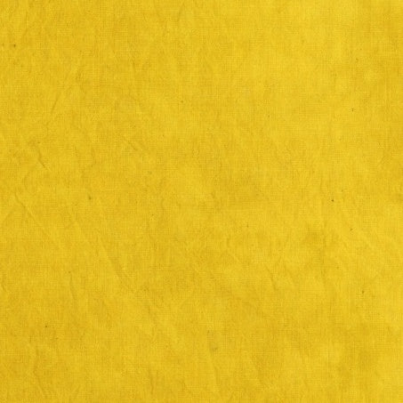 PALETTE goldenrod 47