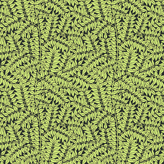 KAFFE X MORRIS & CO Branches black