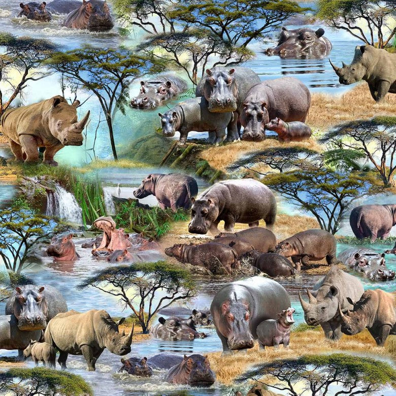 SERENGETI PLAINS Crash & Thunder