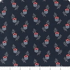 American Gathering III 49320 navy