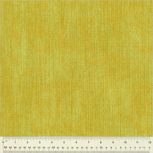 TERRAIN 2.0 Turmeric