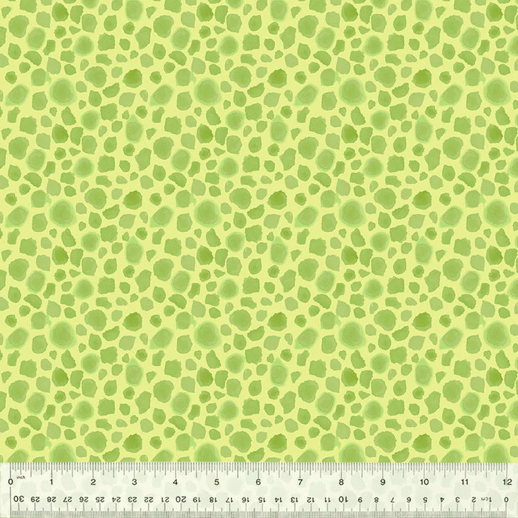 KING OF THE JUNGLE First Spots soft green