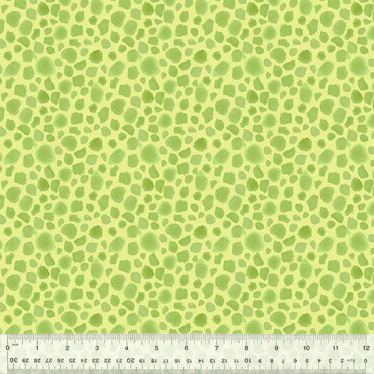 KING OF THE JUNGLE First Spots soft green