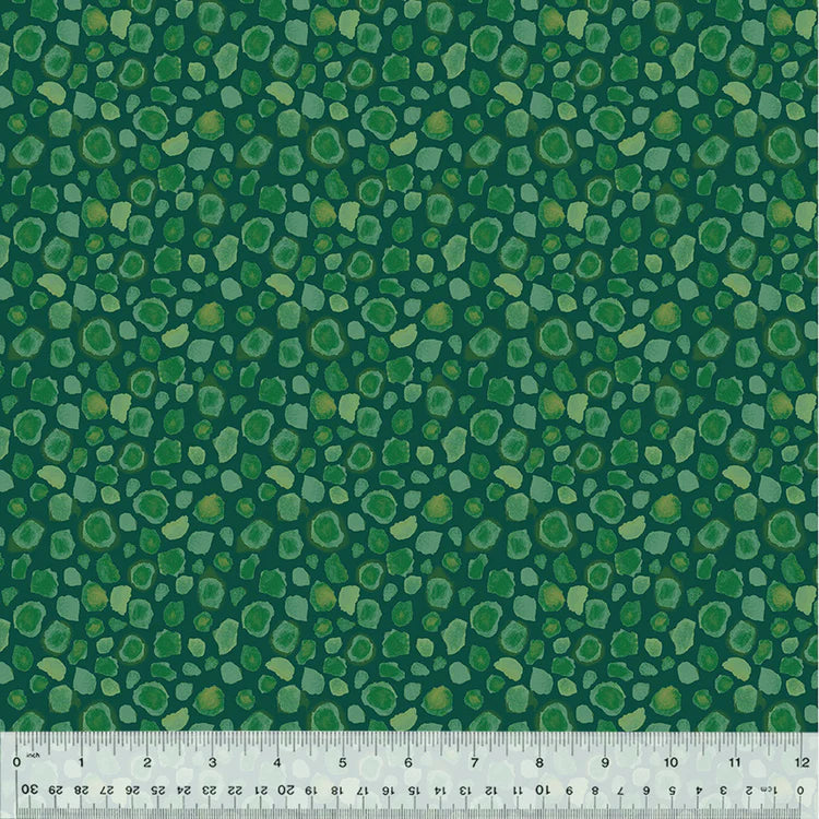 KING OF THE JUNGLE First Spots lagoon