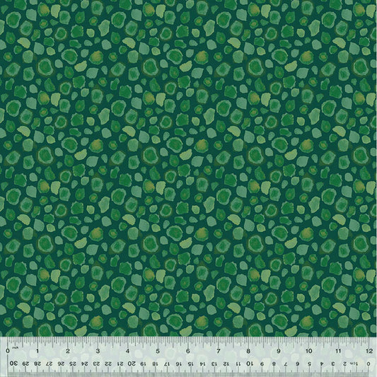 KING OF THE JUNGLE First Spots lagoon