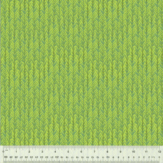 KING OF THE JUNGLE Climbing Vine bright leaf